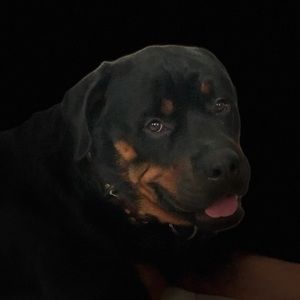 Meet your Posher, Rick